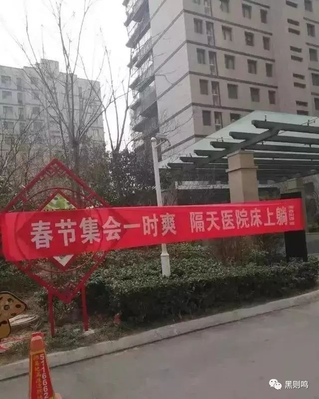 疫情下国人拉出的条幅