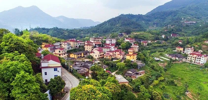 永春白鹤拳故乡——大羽村