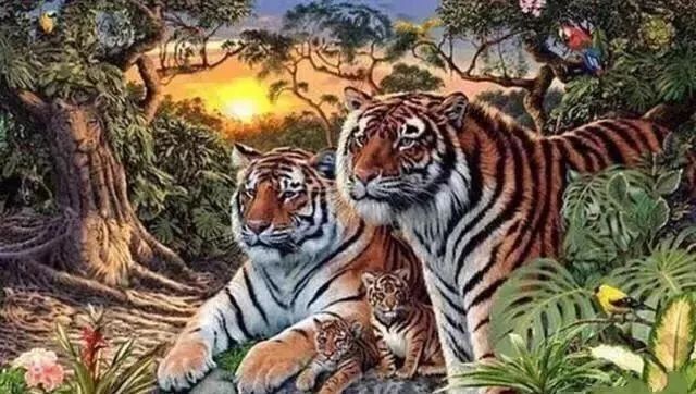 这张图有16只老虎看出2只的老花眼能看出来8只的绝对还年轻